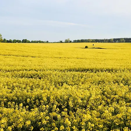 Апартаменты A2 